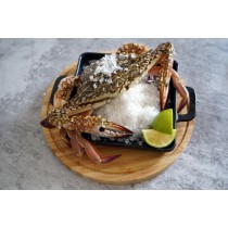 【飽滿蟹黃鮮甜蟹肉】斯里蘭卡花蟹(母) X6隻/組【超取免運】